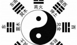 古代名人八卦爆料视频,八卦爆料视频背后的历史真相